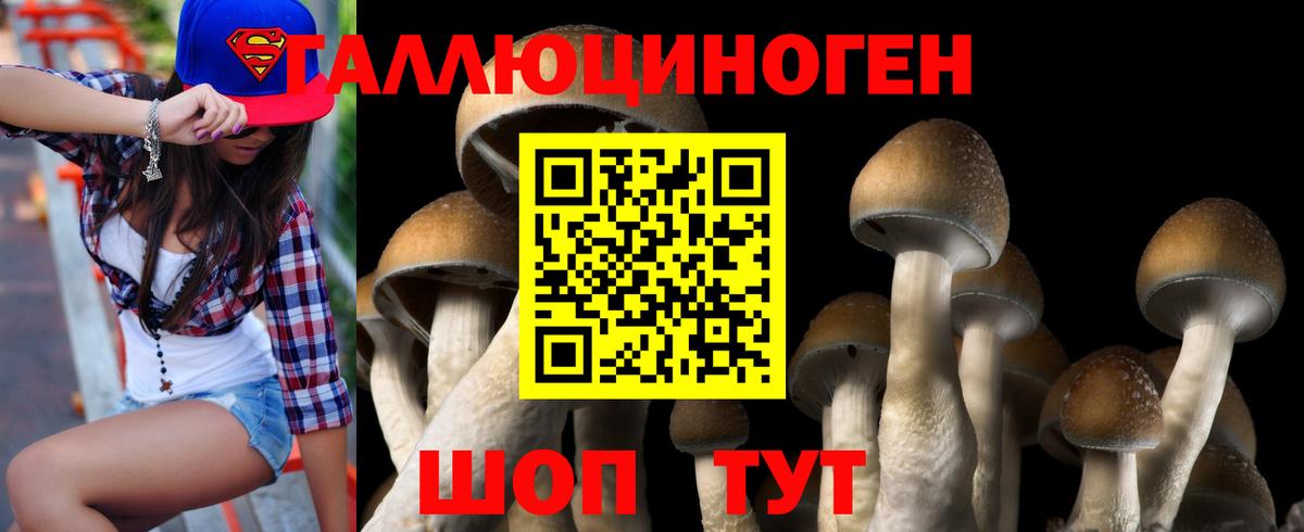 Галлюциногенные грибы MAGIC MUSHROOMS  Вход с VPN  Галлюциногенные грибы Magic Shrooms  Сокол 